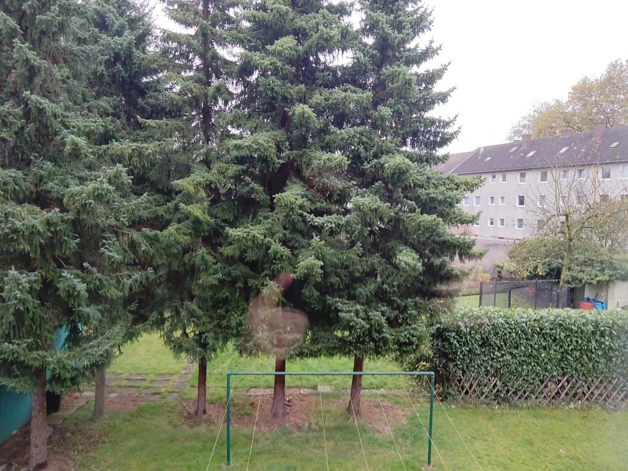 Komfortables Und Ruhiges Apartment Gelsenkirchen Buitenkant foto